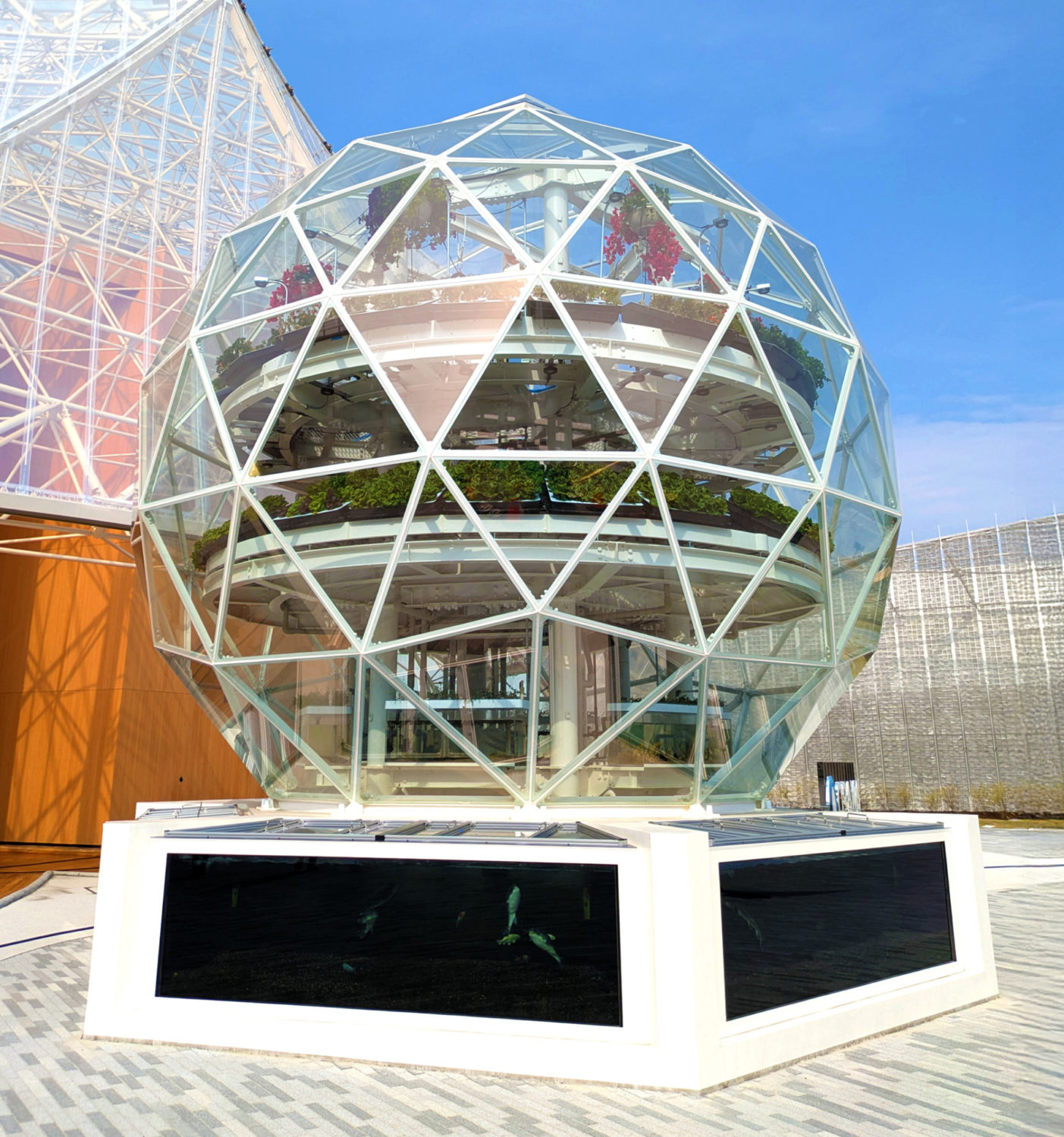 ジオデシックドーム