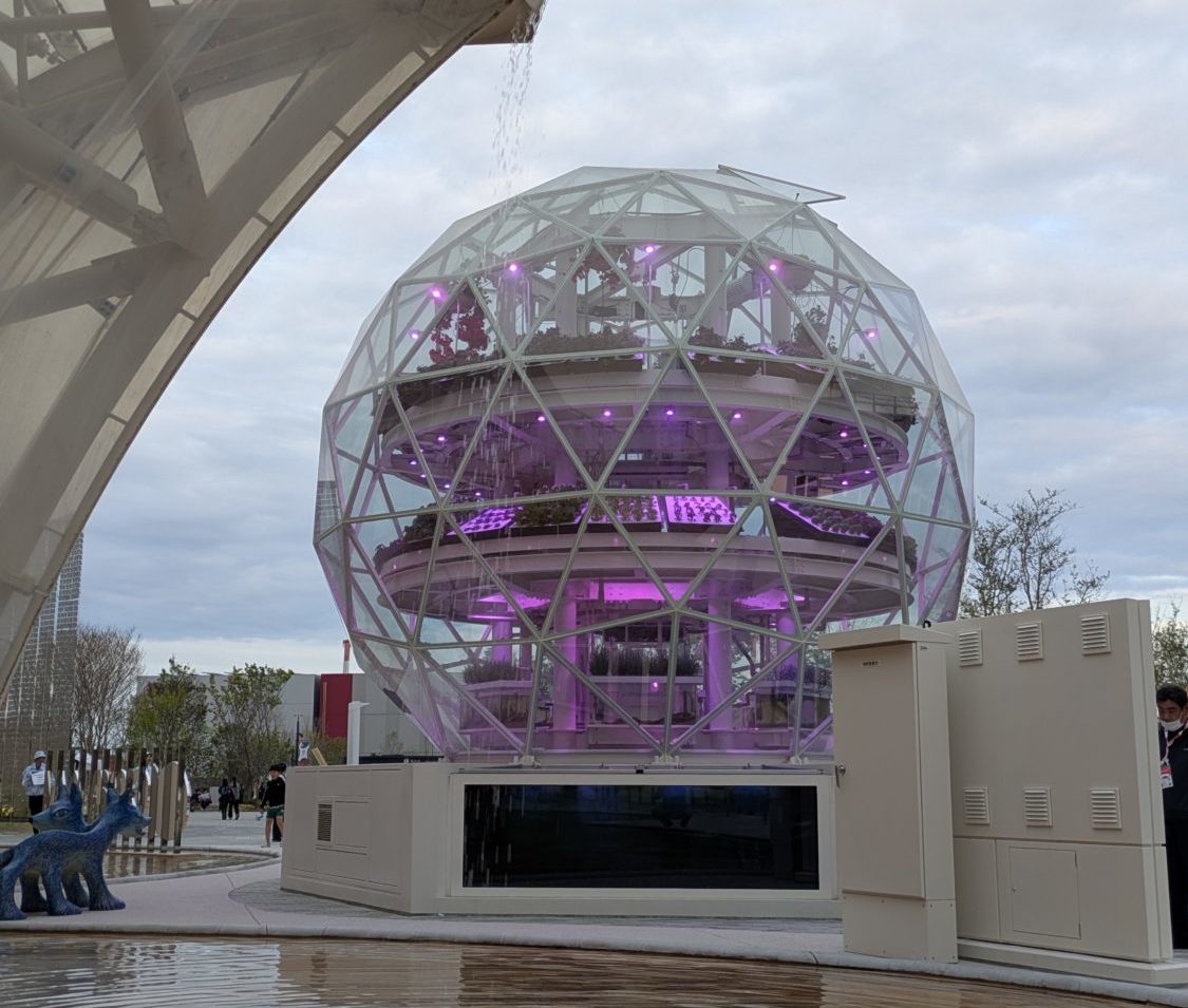 大型ジオデシックドーム建築